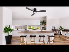 Δελτίο ΕΚΑΧ της 10ης Ιουνίου 2006.