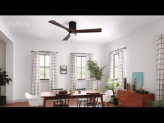 Δελτίο ΕΚΑΧ της 10ης Ιουνίου 2006.