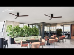 Φανατικός οροφής από ξύλο καρύδας με τηλεχειριστήριο